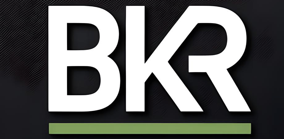Bkr geldlenen